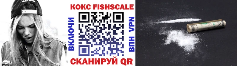 COCAIN Fish Scale Суровикино