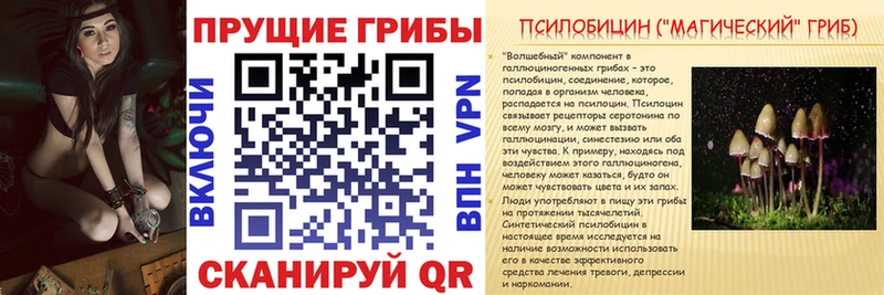 Купить  Суровикино  Псилоцибиновые грибы Cubensis 